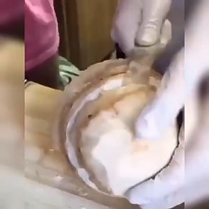 Coconut Tool Easy to operate Fruit Tool Coconut Meat Remover Coconut Shaving Cutter