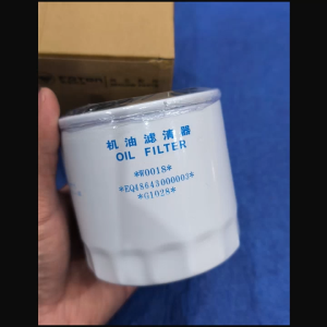 OIL FILTER FOTON VIEW C2 2.0 VAN PETROL (FEQ48643000003)