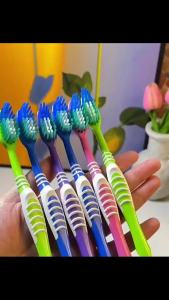 Colgate | Household Travel Toothbrush 6Pcs Colgate Medium & Hard Bristles Daily Deep Cleaning for Adults