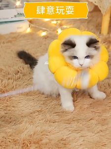 Bantal /Cone Corong Pelindung Anjing Kucing/Anti-Licking Collar/ Pet Collar Bentuk Bunga Matahari Adjustable