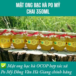 BỘ QUÀ MẬT ONG BẠC HÀ OCOP CHÍNH HÃNG MẬT ONG BẠC HÀ PO MỶ NGUYÊN CHẤT ĐẶC SẢN HÀ GIANG