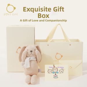 SOFTLIFE | Baby Soothing Chewable Rabbit Plush Toy