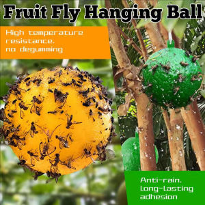 3Pcs Fruit Fly Bee Lure Insect Ball Hanging Trap Glue Ball Strong Sticky Ball for Orchard Garden Vegetable Pest Control