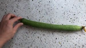 Alat Pengupas Kulit Buah Pisau Buah dan Sayur Multifungsi Alat Kupas Sayuran Anti Slip Peeler