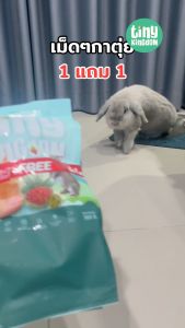 อาหารสัตว์เล็ก สำหรับสัตว์ฟันแทะโปรโมชั่นพิเศษ 1แถม1