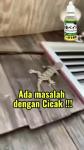 1 drop kills all lizards! lizard killer UMPAN GEL CICAK Prevention & Trapping Chain Killing Technology racun cicak paling kuat lizard killer bait ubat cicak racun cicak lizards tra
