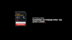 SanDisk Extreme PRO UHS-I SD Card 32GB 64GB 128GB 256GB 512GB 1TB DXXJ MemoryPlusSG