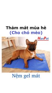 Thảm mát dạng gel cho chó mèo nệm gel mát thú cưng