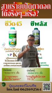 เครื่องดอก Seaweed 45 มีสาหร่ายสีน้ำตาลสกัด Ascophyllum nodosum กระตุ้นตาดอกเพิ่มปริมาณดอก สะสมอาหาร N-P-K สำหรับการออกดอก เยียวยาต้นโทรม ช่วยให้พืชทนสภาวะเครียดจากสภาพแวดล้อมไม่ปกติ