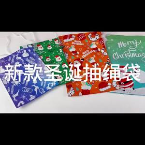 20 Chiếc Giáng Sinh Có Thể Tái Sử Dụng Túi Quà Tặng Lễ Hội Dự Tiệc Cung Cấp Dây Rút Xmas Đồ Trang Trí Phụ Kiện Nhựa Có Thể Gập Lại Hộp Quà Tặng