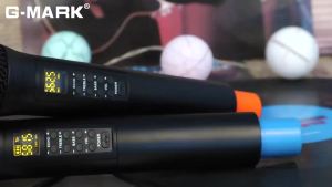 Wireless Microphone G-MARK X333 With ECHO Recording Karaoke Handheld Lithium Battery For Show Square Party Church Kid
