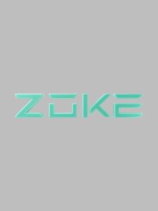 ZOKE | Bộ Đồ Bơi Một Mảnh Nhanh Khô Cho Huấn Luyện Đua