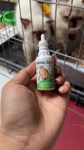 Holycatlabs Obat Tetes Telinga Kucing untuk Kucing Royal Care Telinga Cat