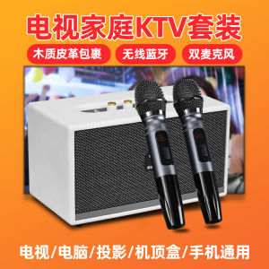 Leji W66pro Family KTV Suit Wireless Microphone Speaker Karaoke Microphone TV Karaoke Home Audio