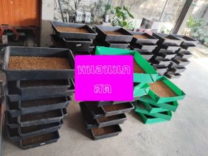 หนอนนกอาหารโปรตีนสูงของนก100กรัมหรือ1ขีด