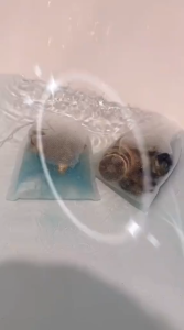 BESTIE BATH SALT PREMIUM GARAM MANDI SPA KAKI AROMA TERAPI DENGAN BUNGA ASLI TRIPLE FORMULA SACHET 100g KEMASAN TRAVELING ( THERAPIS RELAXING REDUCE STRESS SHOOTHES PAIN ) )