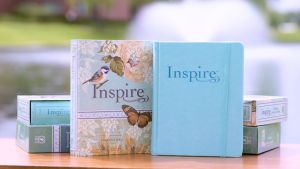 NLT Inspire Creative Bible for Girls (Pink Blue Aquamarine Purple) - Best-Selling Bible by Tyndale Pray Read Journal Coloring for Women