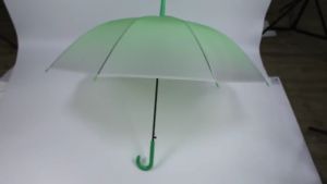 Automatic Transparent Gradient Umbrella 8-Ribs UV Protection Parasol / Payung Duo Warna