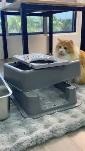 SOAR Stainless Steel Cat Toilet Enclosed Spacious Easy Cleaning Litter Box with Scoop