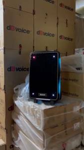 Speaker Portable Wireless Noise 899 L Original 12 inch Bluetooth