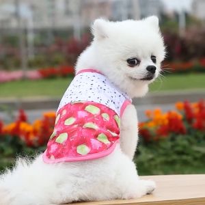 Áo ba lỗ cho Chó Mèo hình các loại trái cây (mẫu mới) - Hara Pet Store