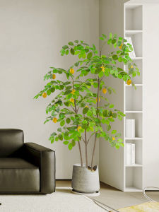 Lemon Tree Artificial Green Plant High-End Affordable Luxury Fake Green Plant Clothing Store Show Window Decoration Bionic Plant Floor Ornaments Flower