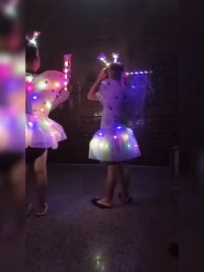 Kids Girls Fairy Costume Set: Light Up Butterfly Wing & Mesh Tulle Skirt