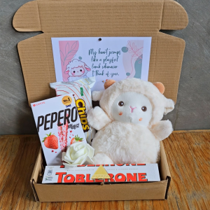 ✨ White Sheep Cool Valentines Gift for Girlfriends or Best Friend Giftset Hampers Blue Theme Cute Ready to Gift