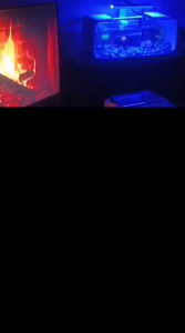 10 Mata Lampu Akuarium Lampu LED Soliter Cupang Lampu LED Mini Aquarium Lampu Akuarium Lampu Hias Aquarium