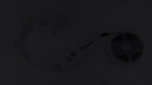 Bộ Điều Khiển Đèn LED Dải RGBIC Có Thể Định Địa Chỉ WS2812B/WS2811 SP107E Điều Khiển Nhạc Bluetooth Thiết Bị Thông Minh Dành Cho WS2812B SK6812 SK9822