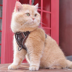 VOA | Anti-Escape Non-Choking Cat Harness Leash