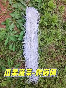 Lưới Leo Giàn Bằng Vải Polyester Dùng Trong Làm Vườn Thích Hợp Cho Cà Chua Đậu Nho - Lưới Hỗ Trợ Cây Trồng Trong Vườn