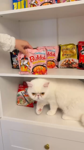 1 PACK Samyang Buldak Spicy Hotchicken Flavors - Korean Instant Noodles Halal