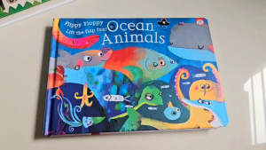 [AWARD WINNING] Children Lift the Flap Fun Board Book Flippy Floppy - Jungle animals |Ocean Animals