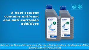 Nước Làm Mát động cơ Ô Tô Xe Máy DYNAGO Chai 1L Nhập Khẩu Trực Tiếp BASF - Đức