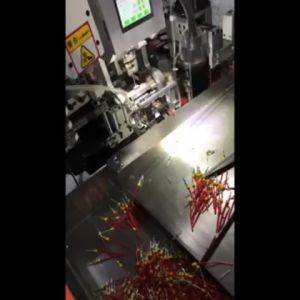 ปลั๊กช่อง 1 คู่ ปลั๊กขั้วต่อสายไฟ เลือกขนาด