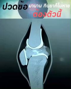 คอลลาเจน บำรุงกระดูก 1 แถม 1 ราคา 390.- ส่งไว🚚💨 Nakata Collagen นาคาตะ สุขภาพและเสริมความงามได้