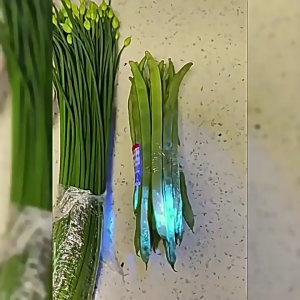 Senter Ultraviolet 395nm Daya Tinggi Untuk Cek Uang & Deteksi Pestisida pada Buah/Sayur