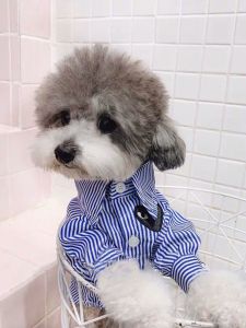 Summer Thin Shirt for Dogs And Cats Teddy Bichon Poodle Heart Pattern Two Feet Nylon Fabric Warm Breathable Spring Summer Pet Clothes