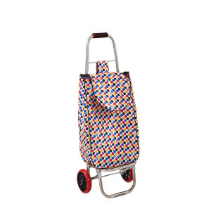 Stainless Steel Folding Shopping Cart Large Capacity Hand Pulling Vegetable Buying Climbing Stairs Shopping Trolley for Elderly