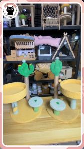 คอนโดแมว ที่ลับเล็บแมว ฝนเล็บ บ้านแมว กระบองเพชร เสาลับเล็บไดโนเสาร์