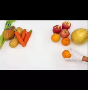 เครื่องคั้นน้ำผลไม้ AOWAYS ALW-J16 ถ้วยน้ำผลไม้พลาสติกสีดำ เครื่องคั้นน้ำผลไม้แนวนอนแบบกลไก 2 สปีด เครื่องคั้นน้ำผลไม้ไฟฟ้า 3.62kg 150W