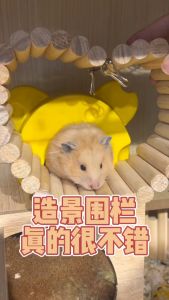 【READY-STOCK】 Parrot/Small animal/Hamster Wooden Fence Bridge Hideout Flexible DIY Ladder Hamster 仓鼠分隔围栏阶梯楼梯/围栏/拱桥