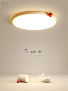 Modern Creative All-Spectrum LED Ceiling Light