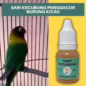Sari Kecubung Wulung Juragan Kicau Vitamin Penggacor Burung Kicau