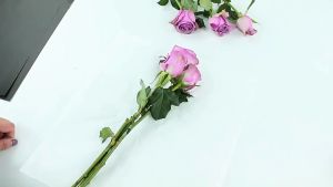 (20 LEMBAR) Kertas Buket Bunga Full Color Flower Wrapping Paper Cellophane Florist KB30