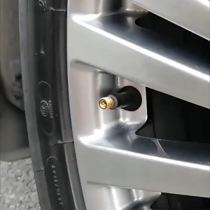 Car Tire Pressure Indicator Tire Pressure Gauge Indicator Alert Monitoring Valve Cap Sensor External Valve Detection Car Tire Pressure Indicator Tire Pressure Gauge Indicator Monitoring Valve Cap Sensor Tire Valve Cap Gauge for Car Motorcycle Bike