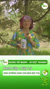 Combo 3 Gói Trung Vi Lượng 100g – Bổ Sung Canxi Magie Kẽm Vi Lượng Cho Cây