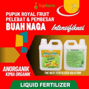 Pupuk Khusus Buah Naga & Solusi Pertumbuhan Buah