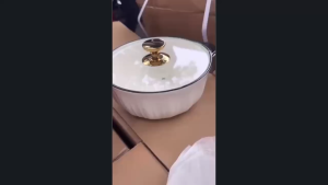 Âu Sứ  Đựng Cơm Canh Có Nắp Kích thước 25 cm Dung Tích 24l Cao Cấp Màu Trắng